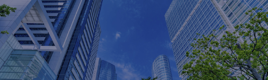 企業情報